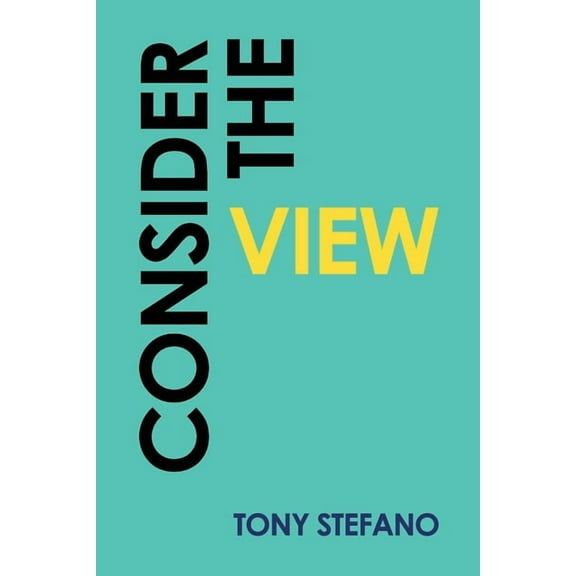 Consider the View (Paperback)