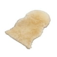 thumbnail image 1 of TechWave Rug Beige Area Rugs Sheepskin Rug Fuzzy Soft Ft Rugs Machine Washable Shag Rug Nursery Throw Rugs For Bed Living Kids Room Decorative Extra Soft Throw Blanket 70x78 Heated Blanket 60x80 Link, 1 of 3