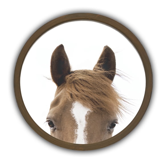 Creative Products Wild Horse Photograph 20 x 20 Round Brown Framed Print