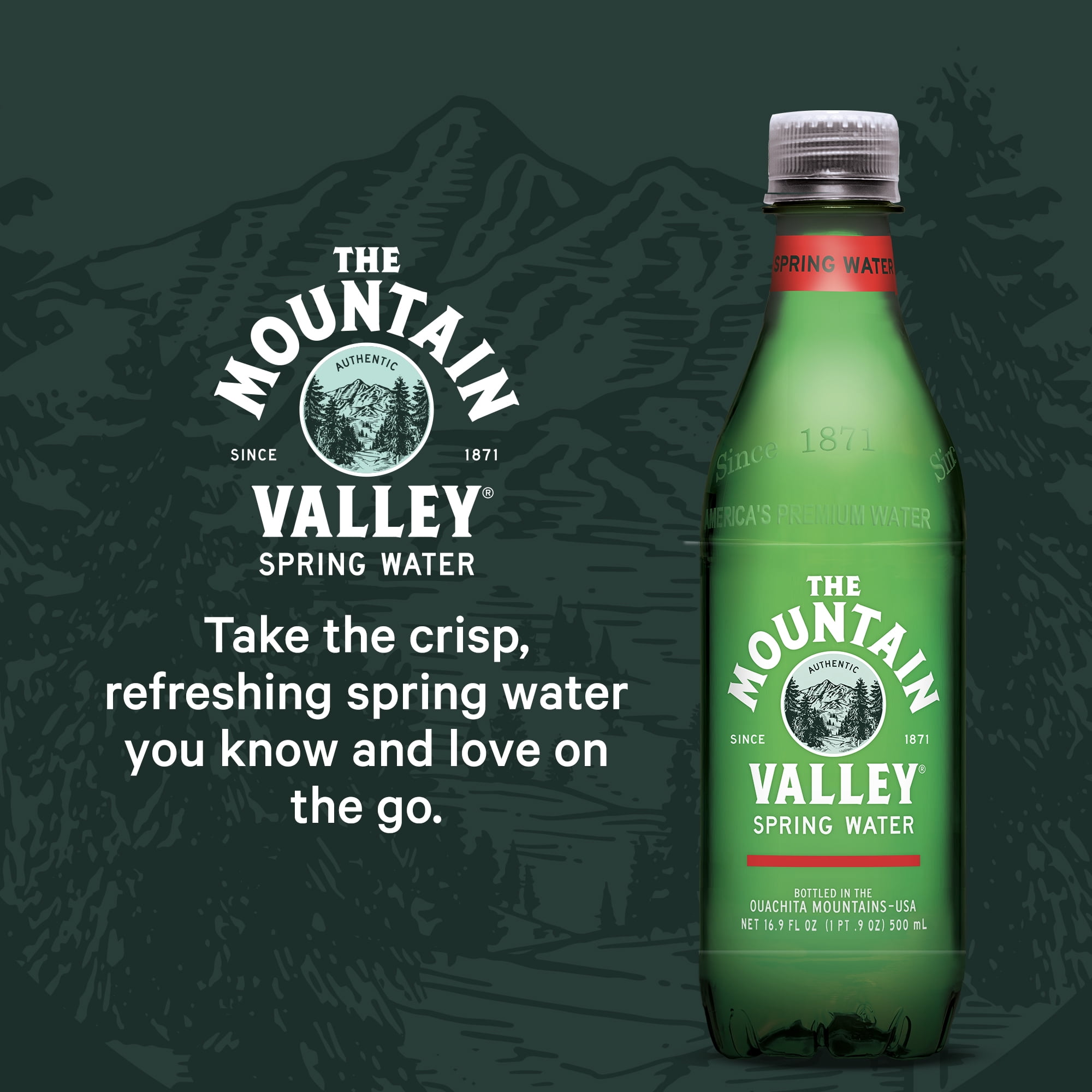 (4 pack) Mountain Valley Spring Water, 16.9 fl oz, 6-pack Plastic Bottles