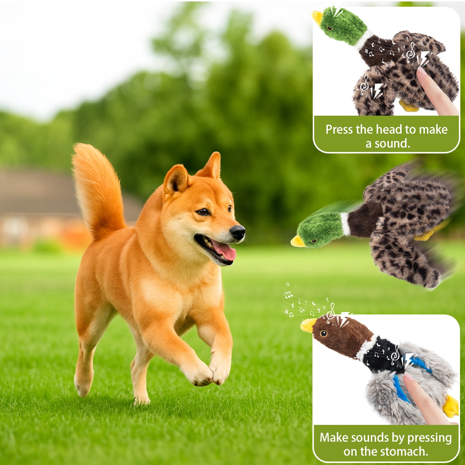 Calibonbon Dog Squeaky Toy Set  2-Pack Durable Plush Chicken, Pheasant, Goose for Small and Medium Dogs  Soft Bird Chew Toys with Crinkle Sound for Puppy Play, Interactive Training
