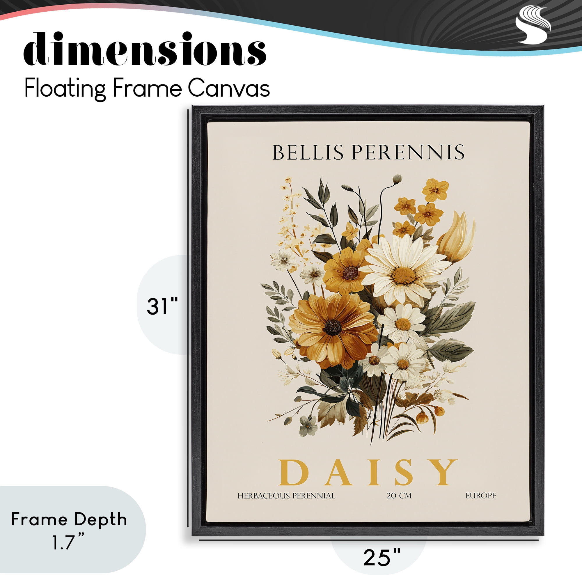 Stupell Industries Nature Daisy Bundle Black Framed Floater Canvas Wall Art, design by Christopher Giampietro