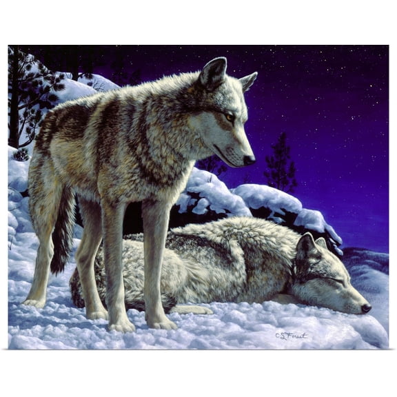 Great BIG Canvas | Rolled Crista Forest Poster Print entitled Night Watch