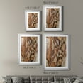 thumbnail image 4 of Wexford Home Tree Texture Triptych I Premium Framed Print, 30.5" x 42.5" - Ready to Hang, Silver (Set of 2), 4 of 9