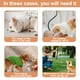 thumbnail image 5 of Abrigo cálido para perros, chaqueta reversible para perros Abrigo impermeable para perros Abrigo de invierno Estilo británico Ropa para perros a cuadros Perro mascota MFZFUKR BST3005402-4, 5 of 5