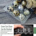 thumbnail image 3 of 100pcs 12 Grids Quail Egg Box Reusable Quail Egg Cartons Egg Container Transparent Frid Container Mini Egg Dispenser with Lid for Refrigerator, 3 of 5