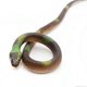thumbnail image 2 of Halloween Decoration Simulation Learning Resources Education Miniature Animal Surprise Rubber Toy Snakes Model, 2 of 5