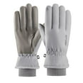 thumbnail image 1 of Breezora Heavy Duty Winter Gloves Thermal Windproof Protection for Cold Weather Commuting Motorcycle Riding and Outdoor Snow Sports Light Ashy, 1 of 6