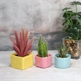 thumbnail image 5 of Unique Bargains 2' Square Plastic Succulent Planter with Drainage Flowerpot Container, White 3 Pack, 5 of 5