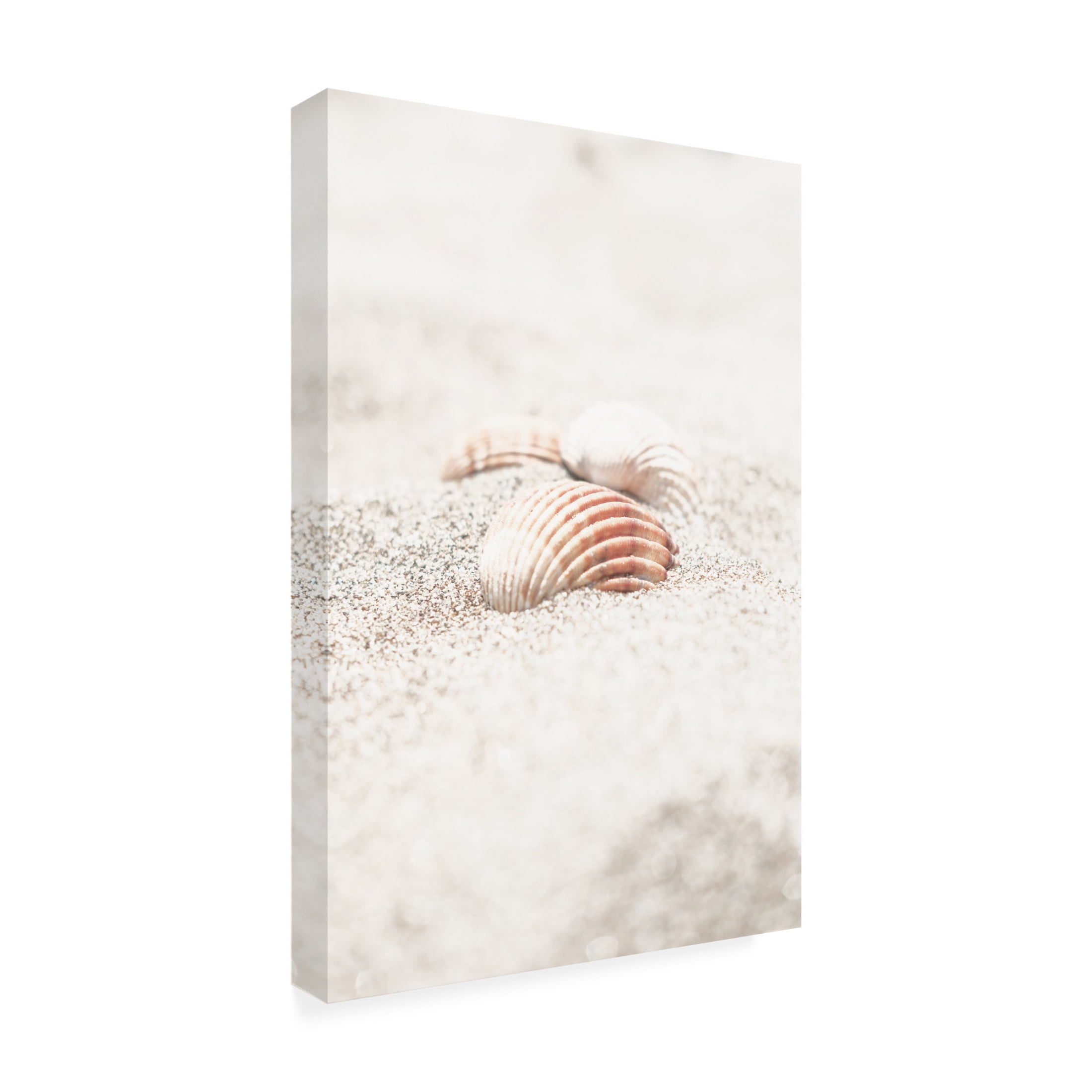 Trademark Fine Art Pictufy Studio III Beach 13 Canvas Wall Art