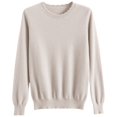 thumbnail image 4 of Arlun Sweaters for Women Casual Soft Comfort Fall Winter Casual Crewneck Pullover Tops Dressy Long Sleeve Trendy Warm Solid Color Base Layer Sweater Light Gray One Size, 4 of 4