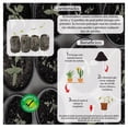 thumbnail image 3 of Germinadores Vita Repuesto Invernadero Casero, 3 of 4