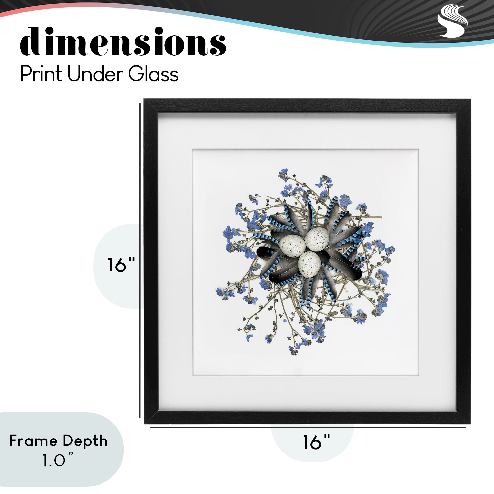 Stupell Industries Feathered Nest & Blue Florals Black Framed Print Under Glass, design by Beth Adoette
