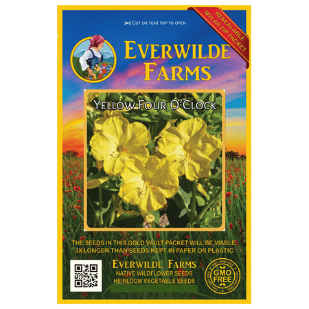 Everwilde Farms - 50 Yellow Four O Clock Garden Flower Seeds - Gold Vault Jumbo Bulk Seed