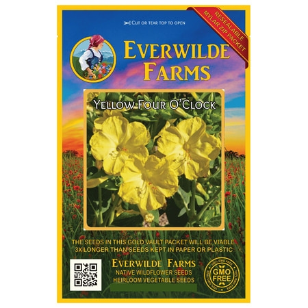 - Everwilde Farms - 50 Yellow Four O Clock Garden Flower Seeds - Gold Vault Jumbo Bulk Seed Packet