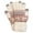 Clear, variant on Gloves Winter Solid Color Knit Gloves Thick Knit Gloves for Typing Cable Knit Gloves for Men and Women Thickened Knit Gloves Thickened Knitted Gloves Black A