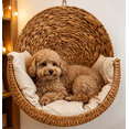 thumbnail image 6 of Handwoven Cat Beds, Wall Mount Perch Cat Bed Safe Cozy Lounge for Indoor House Cats, 6 of 6