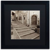 Trademark Fine Art "Lombardy I" Canvas Art by Alan Blaustein, Black Matte, Black Frame