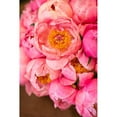 thumbnail image 3 of Millet, Karyn 11x14 Black Modern Framed Museum Art Print Titled - Variations Of Pink Bouquet, 3 of 5