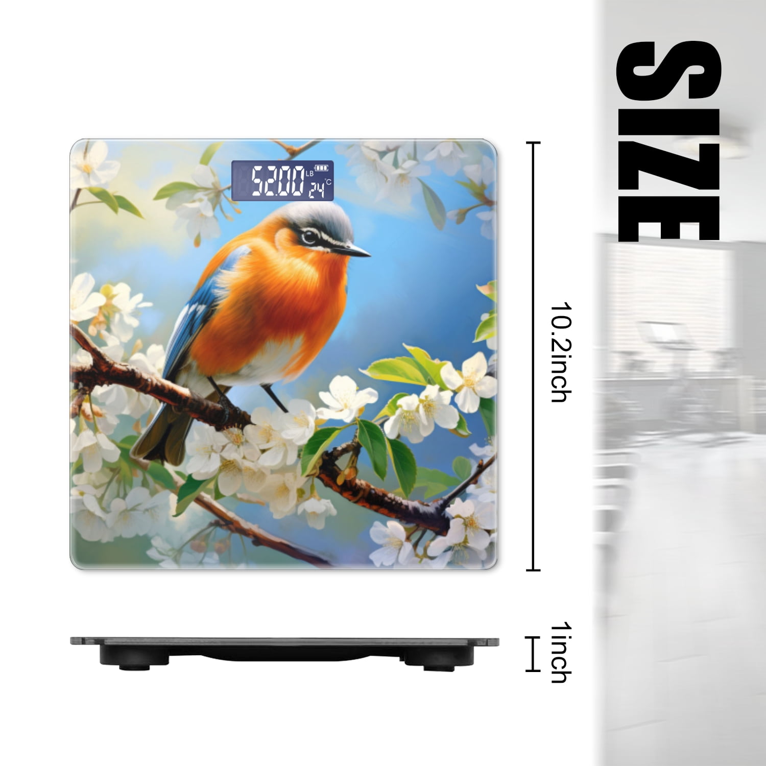 Bathroom Scale, Highly Accurate Digital Body Scale,Precisely Measures Weight up to 400 lbs-Blue Bird Perched On Branch With White Blossoms
