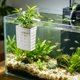 thumbnail image 1 of Cesta para Plantas de Acuario con Ventosas – Soporte Hidropónico de Altura Ajustable para Montaje En Pared, Ideal para Plantas Acuáticas, Potos y Purificación de Agua., 1 of 6