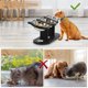 thumbnail image 3 of Adjustable Raised Cat Bowls Set - 15 Degree Tilted Stainless Steel Pet Feeder with Wooden Stand for Food & Water, 3-in-1, 3 of 5