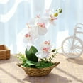 thumbnail image 4 of Artificial Flowers Silk Orchids Faux Orchid Plant in Pot Plants Large with Ceramic Vase for Home Decor Office Table Centerpieces Wedding Party DIY Wedding Party Desk Decor, 4 of 8