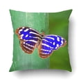 thumbnail image 1 of Funda de Cojín Mariposas de Costa Rica ABPHQTO 40x40 cm, 1 of 1