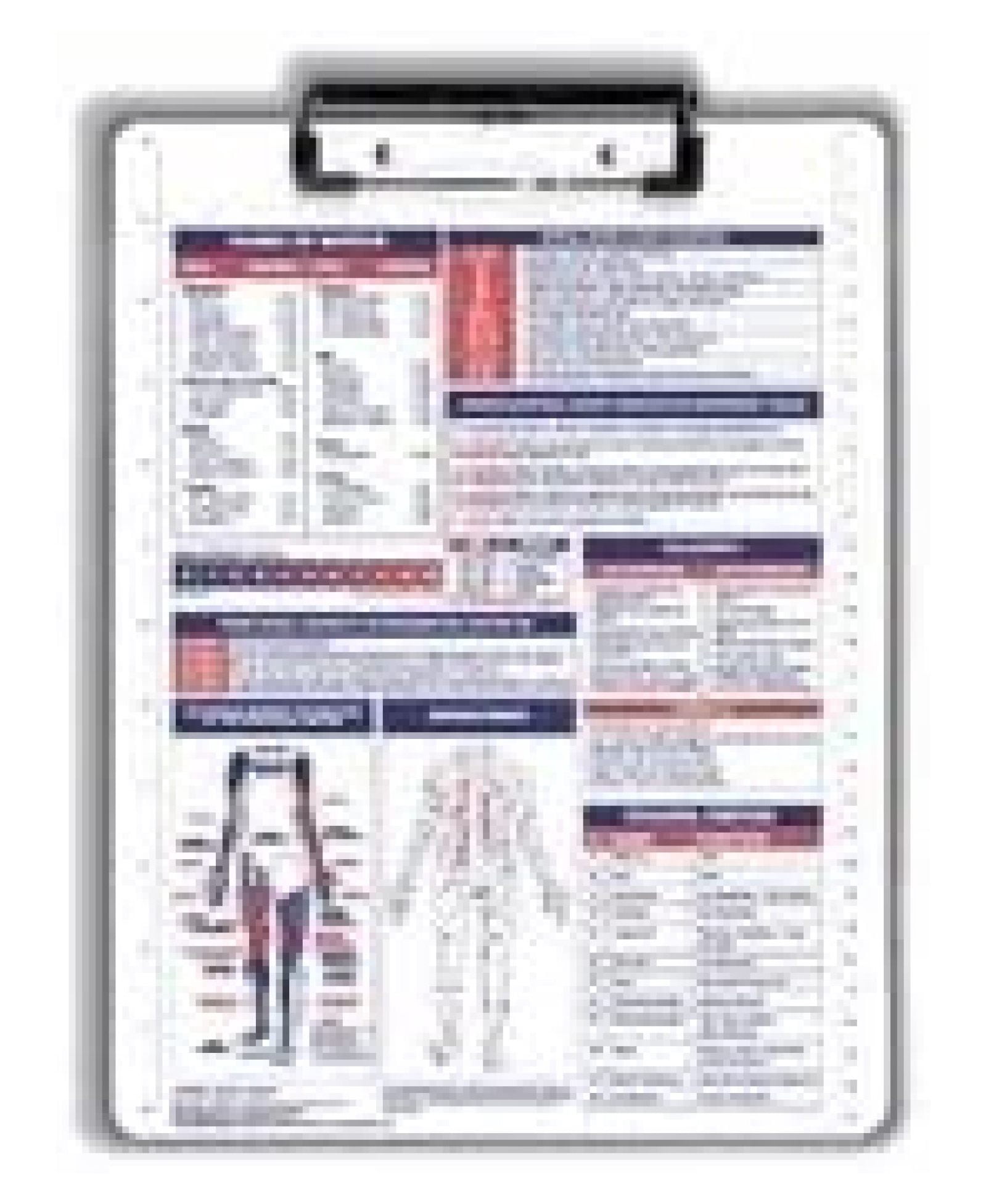 Physical Therapy/Occupational Therapy/Anatomy Reference Clipboard with Wire Clip White Or Gray