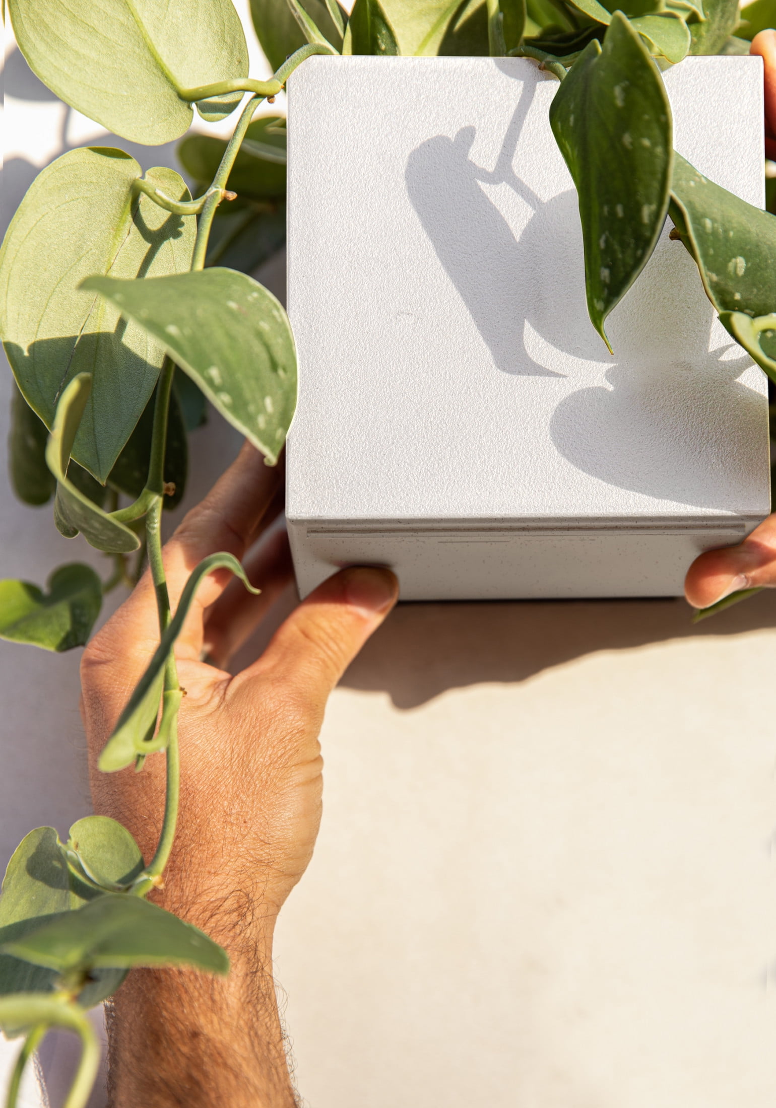 Veadek Geo Series Cube Hanging 5" Planter - 2-Pack White