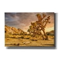 thumbnail image 1 of Epic Graffiti 'Joshua Tree Golden Hour' by Mark A Paulda, Canvas Wall Art, 26"x18", 1 of 8