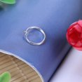 thumbnail image 2 of Lutabuo Women Invisible Nose Ring Hook Dangle Hoop Earring Ear Studs Jewelry(Silver, 2 of 6