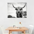 thumbnail image 2 of JRXY  HOME Black and White Highland Cow Photograph Stretched Canvas Wall Art,Living Room 16x12in, 2 of 4