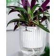 thumbnail image 2 of 3 Pack Hanging Planter,Bexikou 4.5 Inch Hanging Planters Flower Pots for Indoor Outdoor Plants,Plastic Hanging Basket Plant Hanger with Drainage Holes for Garden Home Balcony, 2 of 7