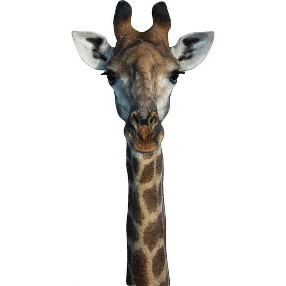 Boer Giraffe Wall Decal Cutout