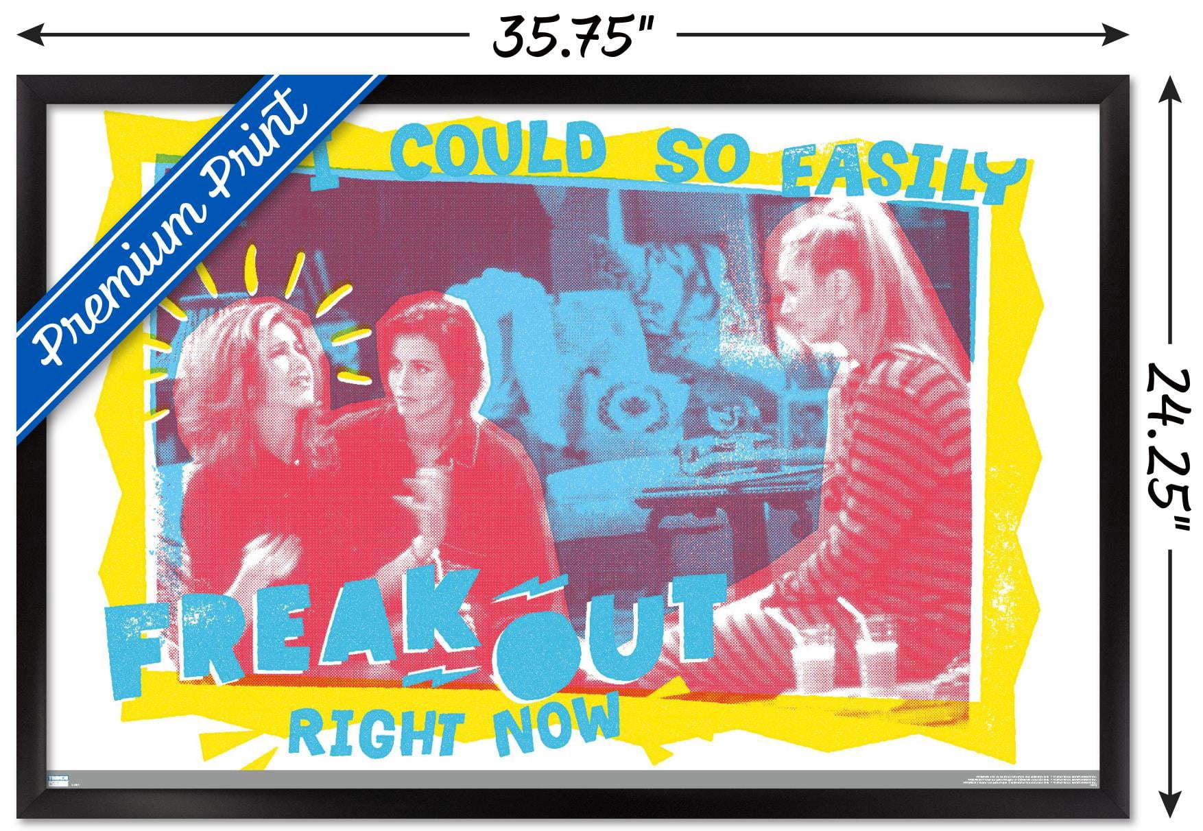 Friends - Freak Out Wall Poster, 22.375" x 34" Framed