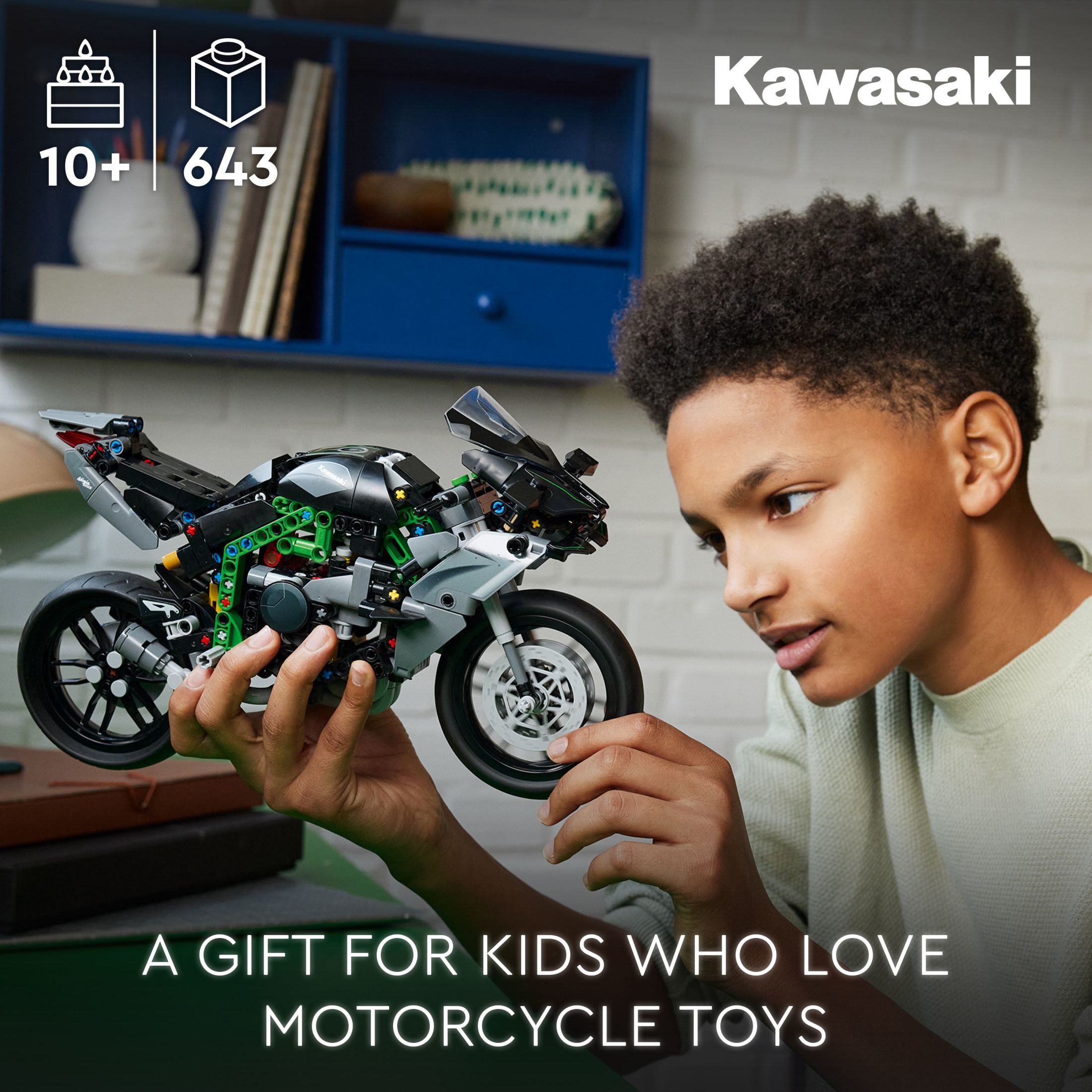 LEGO Technic Kawasaki Ninja H2R Motocicleta de Juguete para Construir y Exhibir, Decoración para Habitación de Niños, Set de Construcción Coleccionable para Niños y Niñas de 10 Años en Adelante, Kit de Modelo a Escala para Juego Independiente, 42170 3