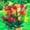 A, variant on Canna, Low Maintenance - Easy Grow - Ideal for Beds Borders, Plant Pots & Planters