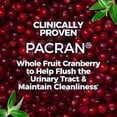 thumbnail image 3 of AZO Cranberry, Maximum Strength, Softgels 100 ea (Pack of 3), 3 of 5
