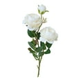 thumbnail image 1 of WGXU Artificial Fake Western Rose Flower Peony Bridal Bouquet Wedding Home Decor WH, 1 of 1