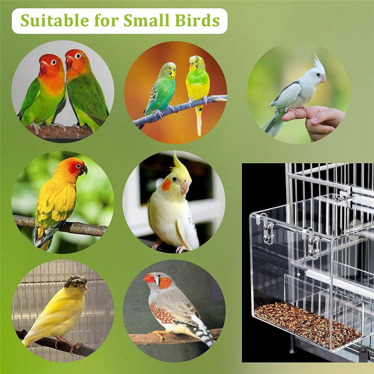 No Mess Bird Feeder for Cage Automatic Cage, Acrylic Parrot Food
