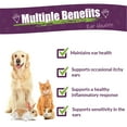 thumbnail image 6 of Amber NaturalZ Otaxium Drops Ear Care for Pets | Herbal Supplement to Help Maintain Ear Health, 6 of 6
