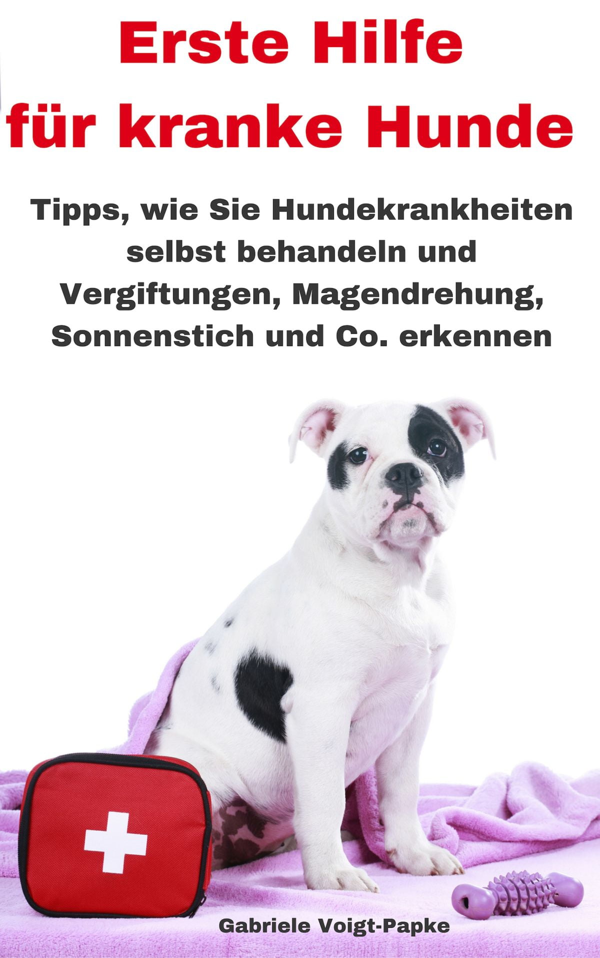 Erste Hilfe für kranke Hunde eBook