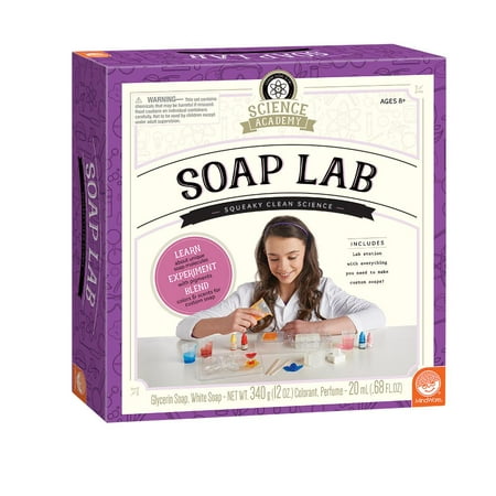 Science Academy Soap Lab (Other) (Best Toys For Black Labs)