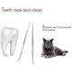 thumbnail image 4 of Professional Dental Tools, Dog Dental Tooth Scaler And Scraper Stainless Steel Tartar Remover, - 5 Pack Stainless Steel Teeth, 4 of 4