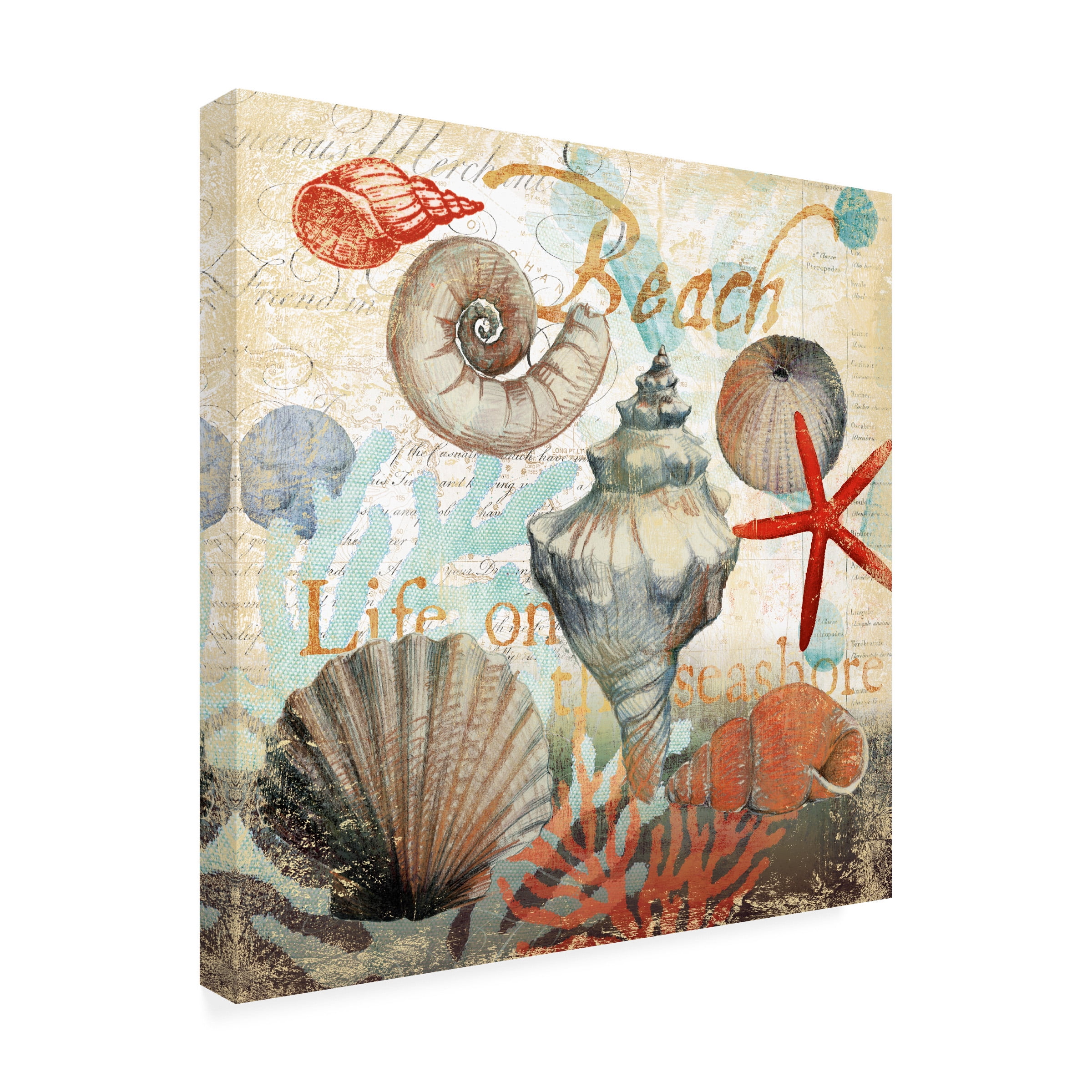 Art Licensing Studio 'Shell Collector Beach' Outdoor Canvas 18x18