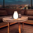thumbnail image 4 of Oliegs Soft Glow Night Lights For Kids Adults Cute Penguin Shape Control Bedside Lamp Dimmable Nursery Lighting, 4 of 5