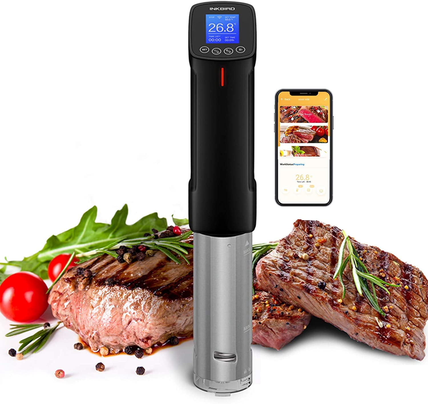 1000 Watts Black and Silver Anova Culinary AN500-US00 Sous Vide Precision Cooker Anova App Included WiFi 