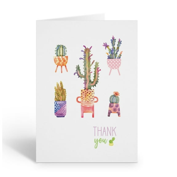 Stonehouse Collection | Succulent Thank You Note Cards | Set of 10 Blank Cactus