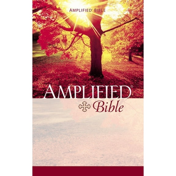 Pre-Owned Amplified Bible (Paperback) 0310951410 9780310951414